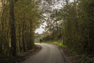 Fototapeta premium biker on a biking road in the dunes of the island Goeree Overflakkee in autumn
