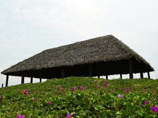 Fototapeta na wymiar a big wooden hut