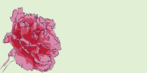 pink carnation floral vector for backgrounds, covers and graphic works