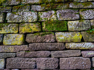 Feuchte alte Sandsteinmauer