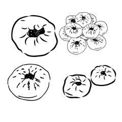 meat pies. Linear drawing by hand. Vintage