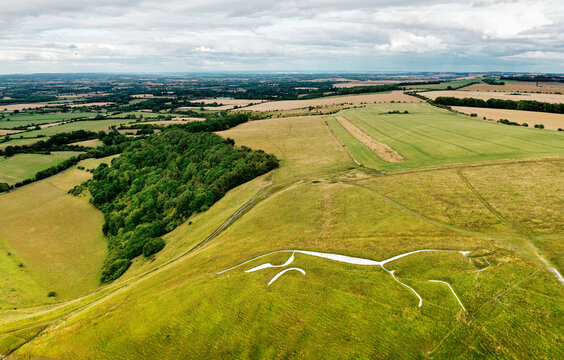 Uffington White Horse. 3500 year prehistoric chalk figure carved into a chalk hillside of the Berkshire Downs, England. 110 meters long. Looking east