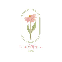 Watercolor vector drawing flower chamomile, botanical logo.