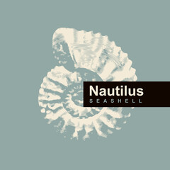 vector logo sign with drawing of ancient petrified ammonite shells or nautilus pampilius. exhibits of the paleontological museum from extinct marine mollusks and animals of the sea and ocean fauna - obrazy, fototapety, plakaty