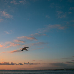 Compilation of pictures in the coast of Arraial do Cabo, Rio de Janeiro