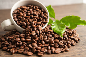Coffee bean in cup with export text for import export trade commerce.
