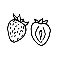 Strawberry set doodle style vector illustration isolated on white