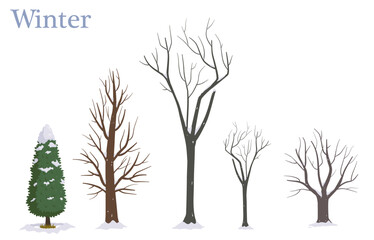 An illustrated set of trees in winter