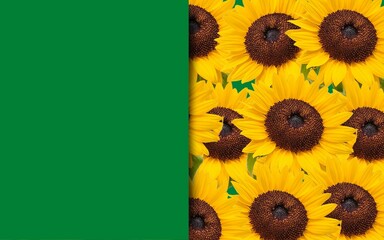 card with sunflowers background