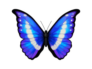 Blue tropical vector butterfly. Morpho rhetenor helena. Realistic vibrant detailed illustration. Isolated on white. South American butterfly.