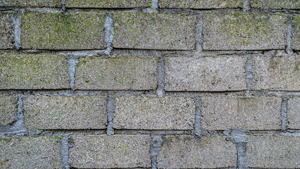 Obraz premium Concrete cement wall texture, Sturdy wall background.