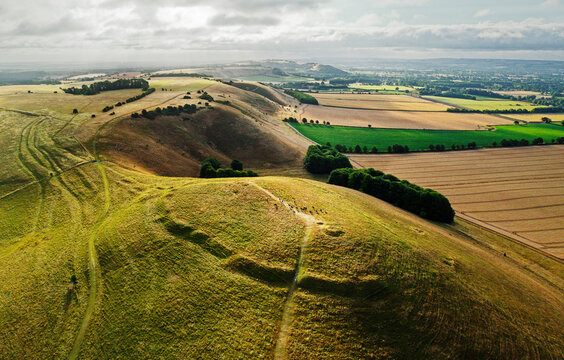 Knap Hill prehistoric Neolithic causewayed enclosure approx. 5500 years old. View E. into Vale of Pewsey, Wiltshire. Barrow visible in front of cattle