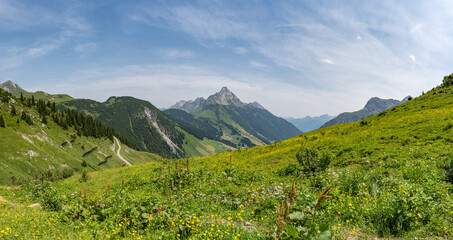 Fototapeta na wymiar Alpenpanorama im Sommer