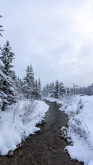 Rushing River During Winter in Banff