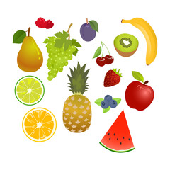 Collection of Healthy Fruits Illustration 6 - 558725396
