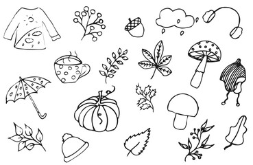 Set of fall plants and objects in the style of a doodle, hand-drawn, without the possibility of filling. Vector illustration, isolated on a white background
