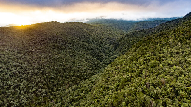 Foto a&eacute;rea ca&ntilde;ada en bosque con nubes