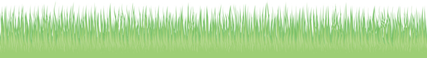 Fototapeta na wymiar vector illustration of green grass