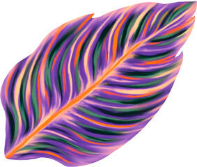 Tropical jungle palm leaf. Realistic hand drawn illustration. Isolated on white.