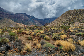 Below the Teide volcano, in the photo the remains of the eruption Tenerife, Canary Islands	