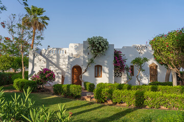 Fototapeta na wymiar White wall house and flower tree on street of Egypt in Sharm El Sheikh