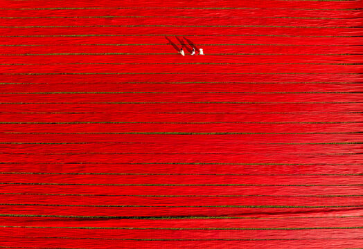Aerial view of people working in a field stretching red cotton fabric rolls in Narsingdi, Dhaka, Bangladesh.
