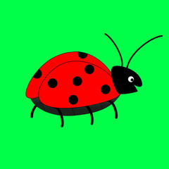 Cute ladybug or ladybird. Simple flat design of black and red lady beetle. Vector illustration isolated on green background