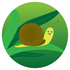Cute snail on a leaf of grass on a green background.  Vector illustration