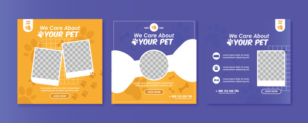 Pet care premium vectors, social media post