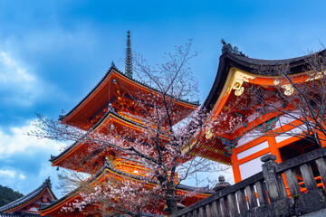 Cherry blossoms and red pagoda in Kyoto, Japan.
