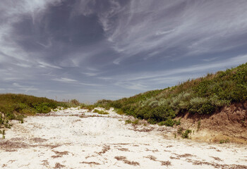 Bottom view of the sand and a hill with green grass. Summer landscape. brown tint