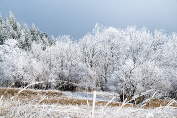 Snow that is melting in the sun. Snow that melts in the heat. Christmas party background. Background of snow in the sun. Mountain landscape with snow