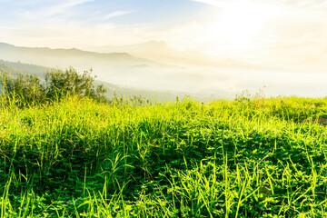 view at beautiful misty spring mountain valley with green gardens and mountains in mist on background of landscape