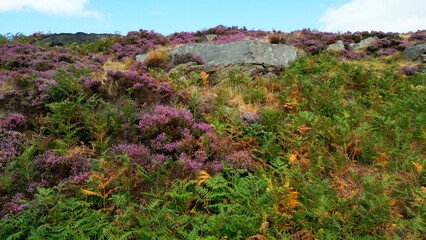Peak District National Park - aerial view - drone photography