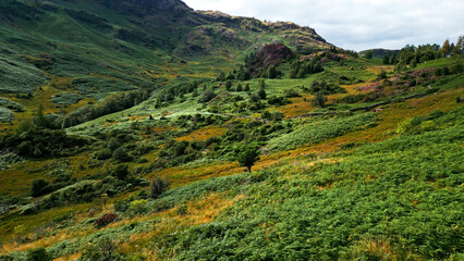 Obraz premium Lake District National Park - aerial view - drone photography