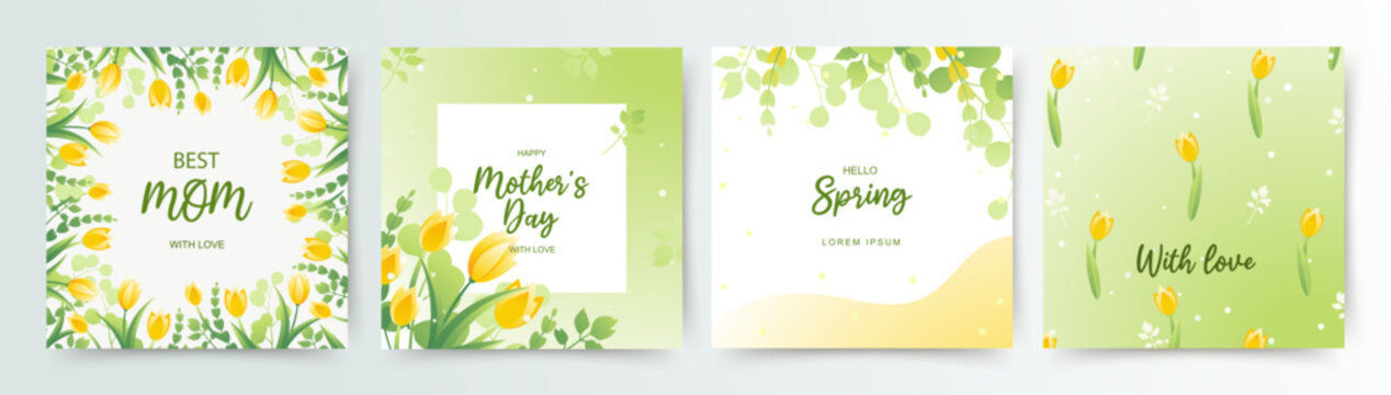 Spring floral square backgrounds with tulips and leaves. Happy Mother's Day greeting card.Editable vector illustration for card, banner, invitation, social media post, poster, mobile apps, advertising