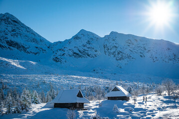 Widok na Halę Gąsienicową, Tatry Polskie © grzegorz_pakula