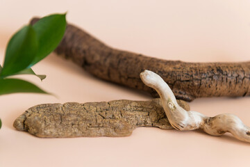 Empty podium natural material tree beige background. Product presentation with fresh plant decor.