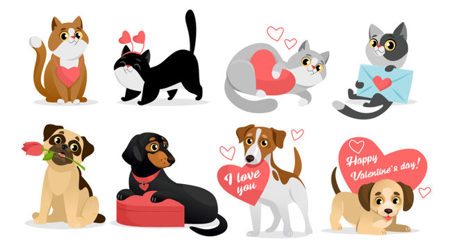 Set of cute pets for Valentines day. Romantic cat and dog characters with love cards and gifts. Adorable animals collection for February holiday on white background. Cartoon style vector illustration.