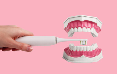 Brushing, cleaning teeth jaw model with electric toothbrush. Oral dental hygiene concept