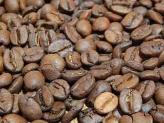 coffee beans close up