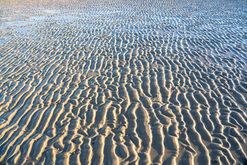 Ebb in the North Sea