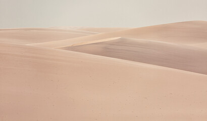 sand dunes in the desert
