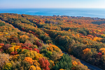 Aerial view from a drone of an autumn forest near the sea.