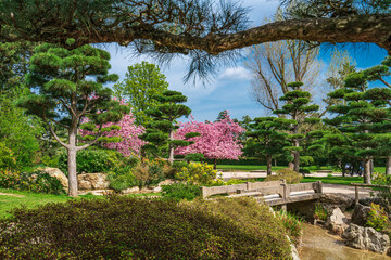  Japanese garden in Nordpark, Dusseldorf, Germany