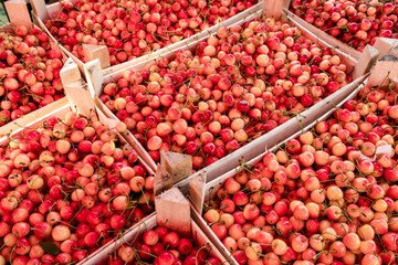 Sweet cherry on a farm market
