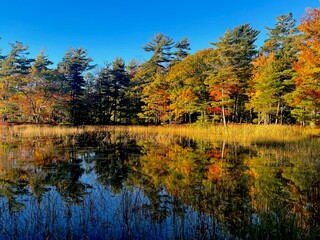 Fototapeta premium Autumn at the lake