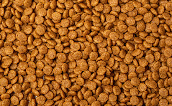 dry food background