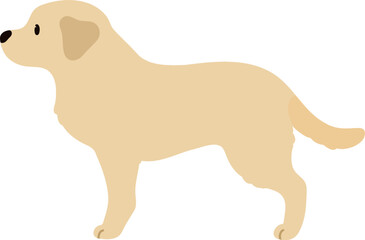 Simple and cute illustration of Labrador Retriever in side view flat colored
