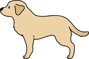 Simple and cute illustration of Labrador Retriever in side view
